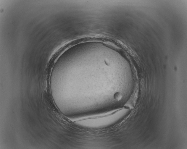 X0000084561262200703091736