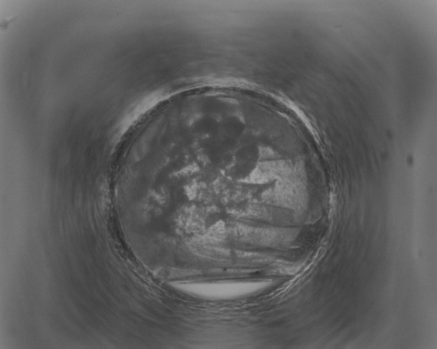 X0000084561263200703091736