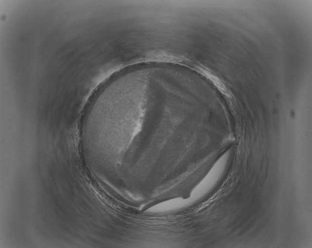 X0000084561264200703091736