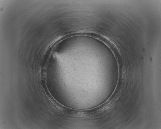 X0000084561265200703091736