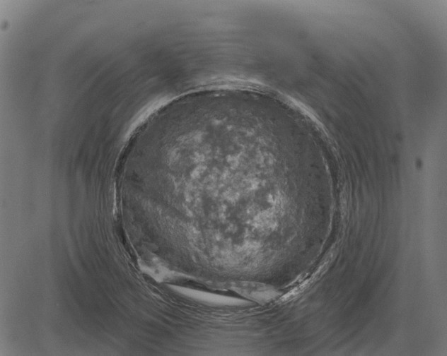 X0000084561267200703091736