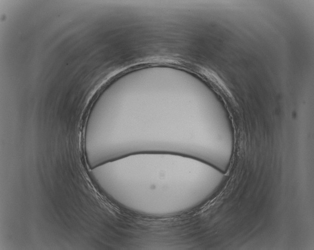 X0000084561268200703091736