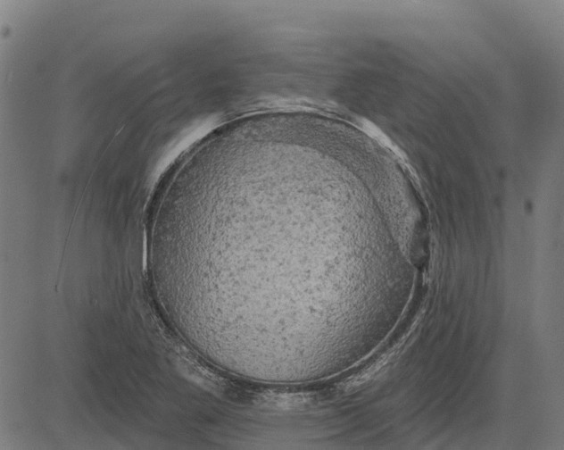 X0000084561269200703091736