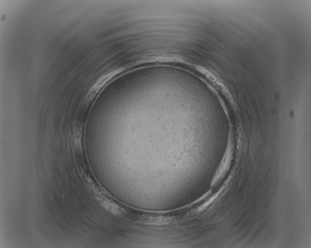 X0000084561273200703091736