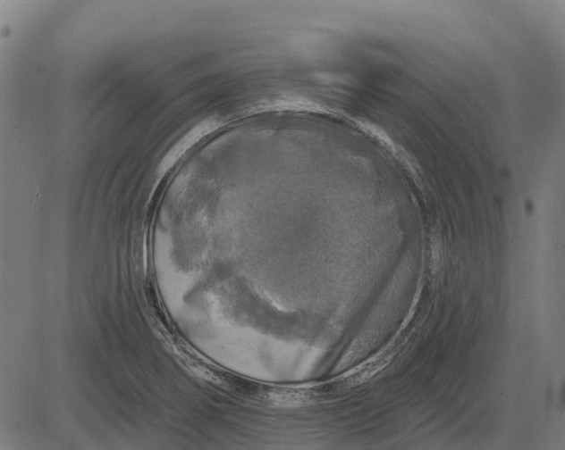 X0000084561274200703091736