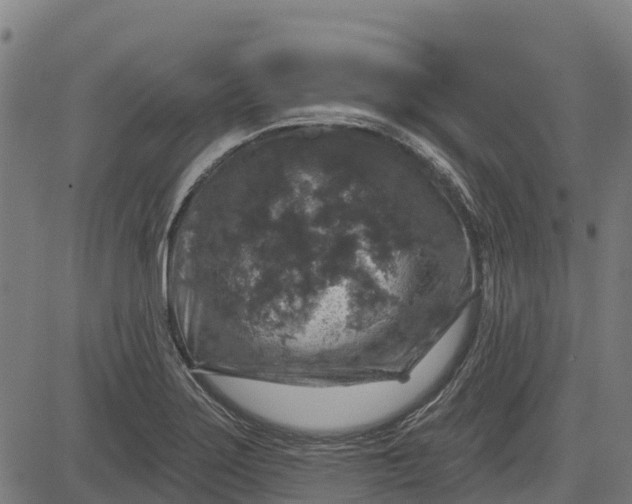 X0000084561275200703091736