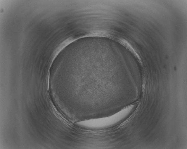 X0000084561276200703091736