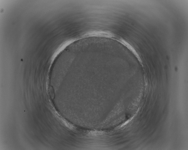 X0000084561277200703091736