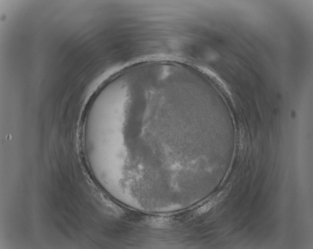 X0000084561278200703091736