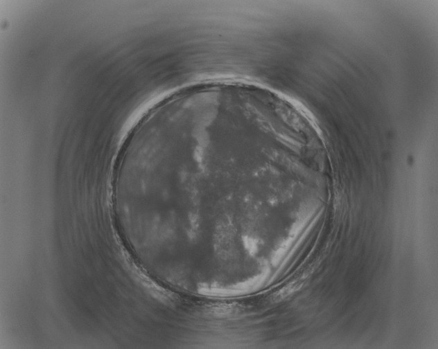 X0000084561279200703091736