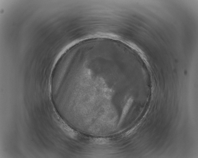 X0000084561280200703091736