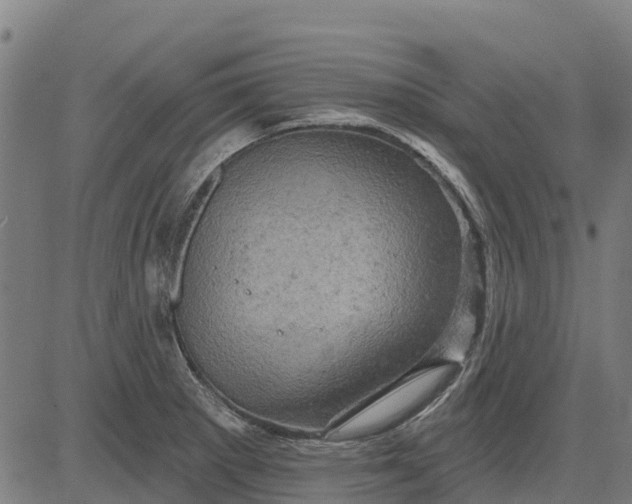 X0000084561281200703091736