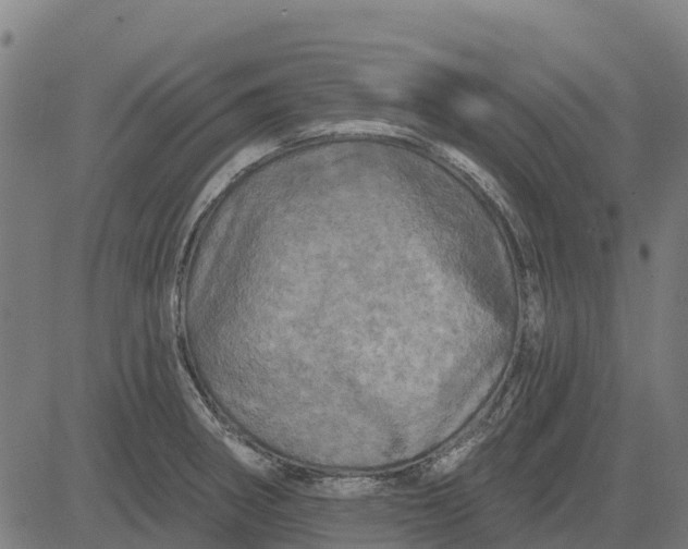 X0000084561282200703091736