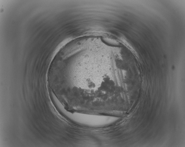 X0000084561283200703091736