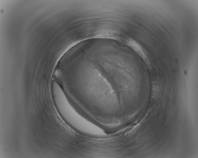 X0000084561284200703091736