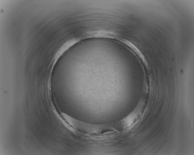 X0000084561285200703091735