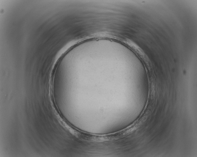 X0000084561286200703091735