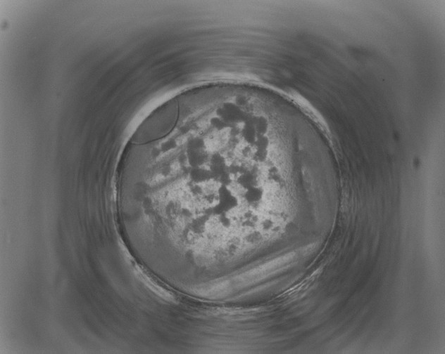 X0000084561287200703091735