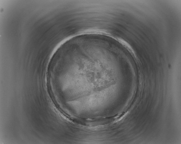 X0000084561288200703091735