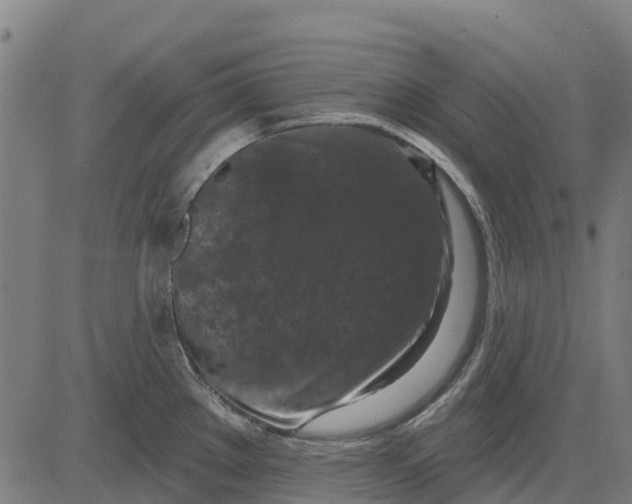 X0000084561289200703091735