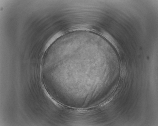 X0000084561290200703091735