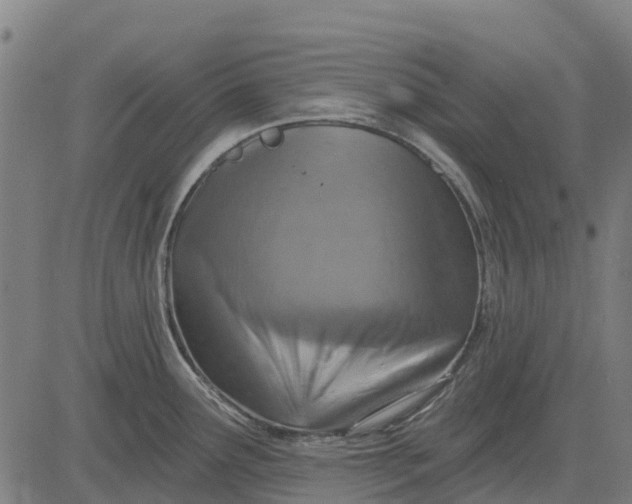 X0000084561291200703091735