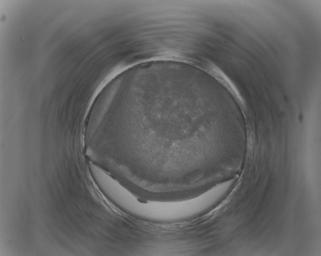 X0000084561292200703091735