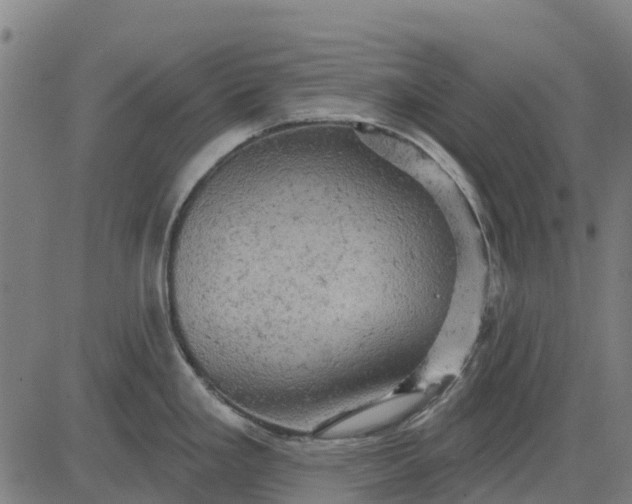 X0000084561293200703091735