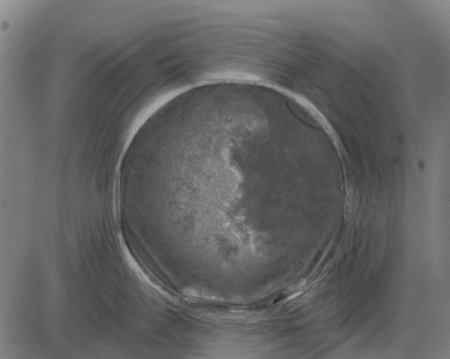 X0000084561295200703091735