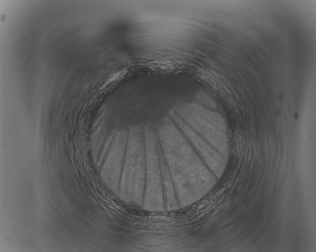 X0000084561297200703091735