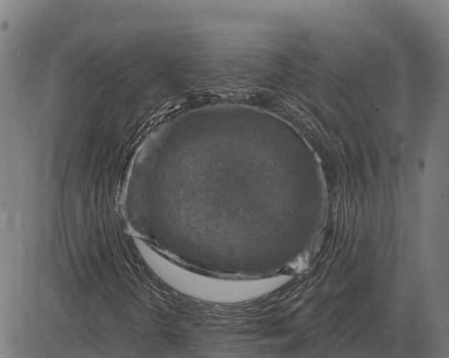 X0000084561298200703091735