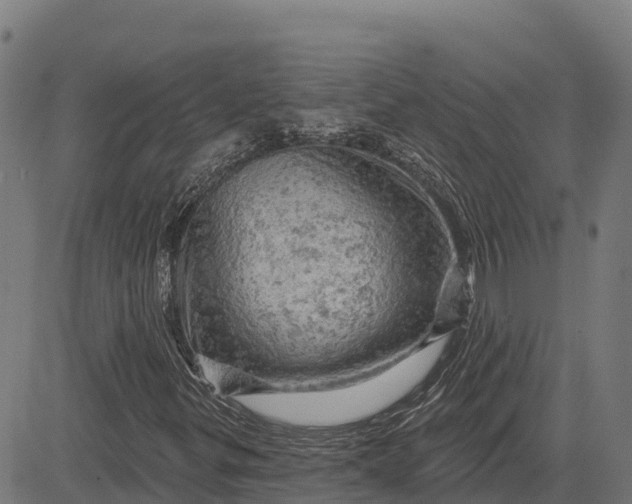 X0000084561299200703091735