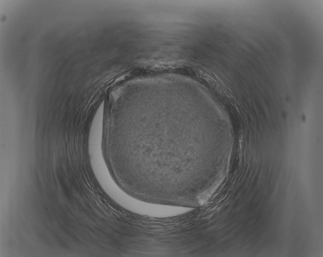 X0000084561300200703091735