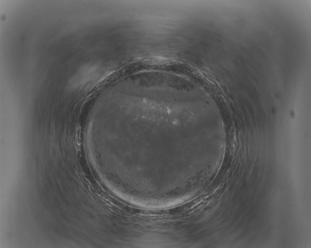 X0000084561301200703091735