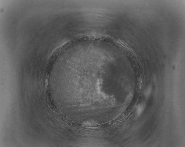 X0000084561302200703091735