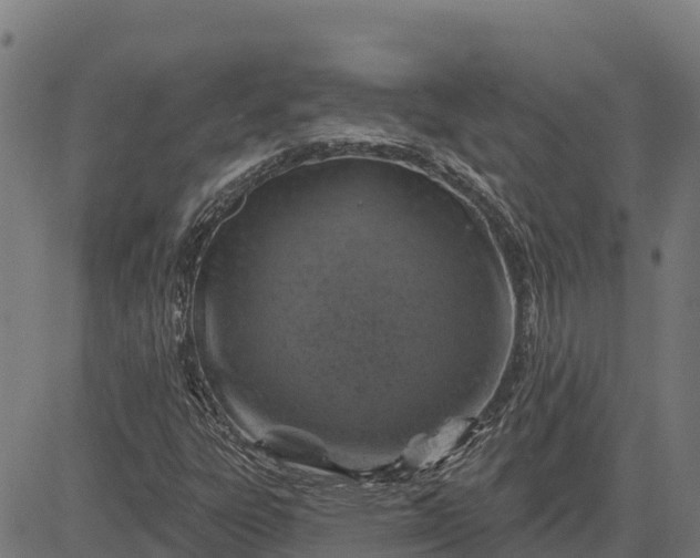 X0000084561303200703091735