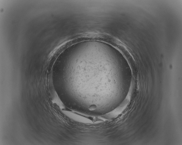 X0000084561304200703091735