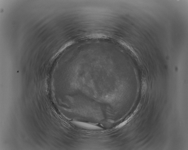 X0000084561305200703091735