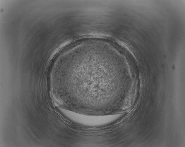 X0000084561307200703091735