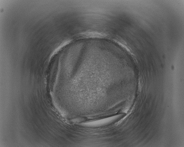 X0000084561309200703091735