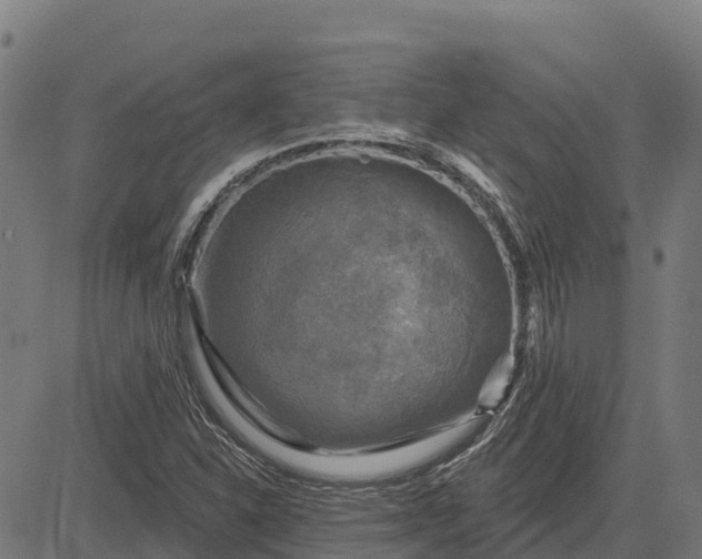 X0000084561310200703091735