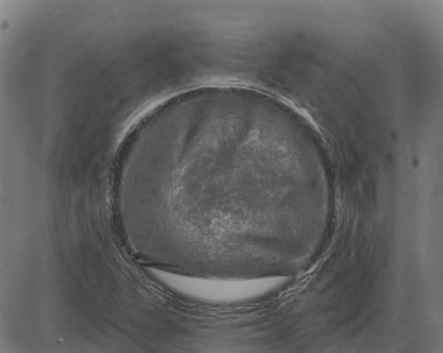 X0000084561311200703091735