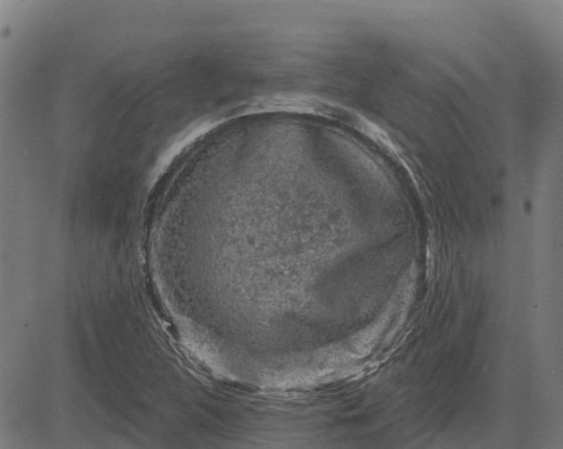 X0000084561312200703091735