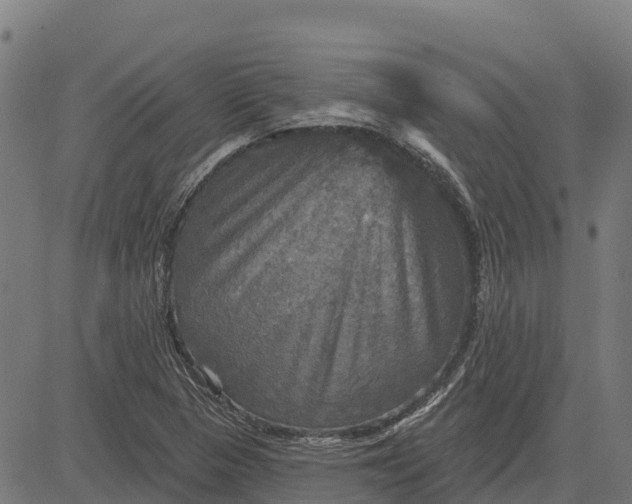 X0000084561313200703091735