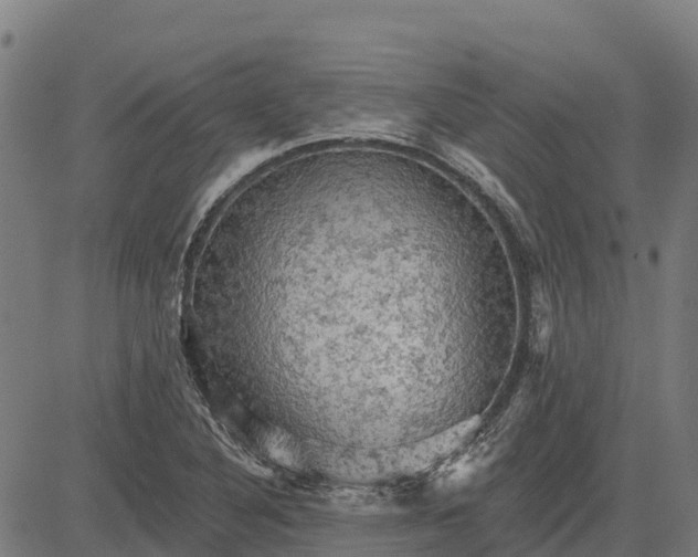 X0000084561316200703091735