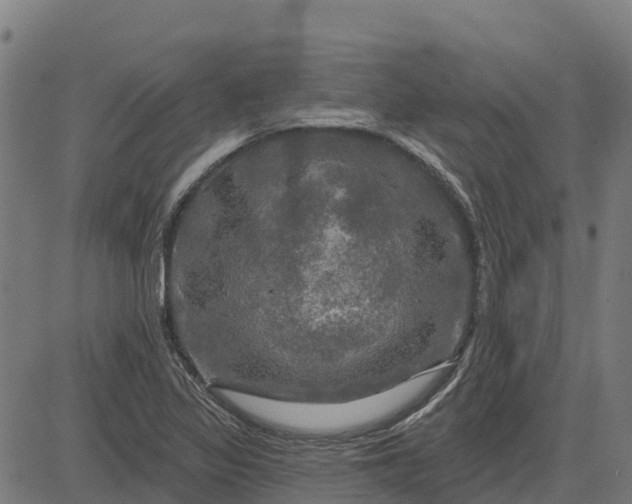 X0000084561317200703091735