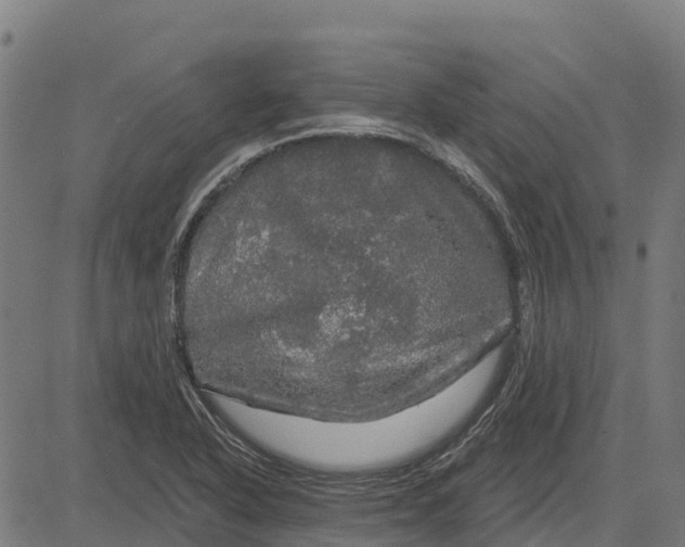 X0000084561318200703091735