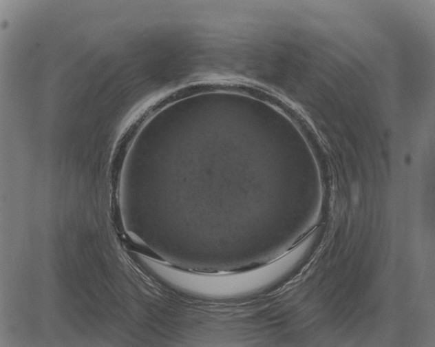 X0000084561319200703091735