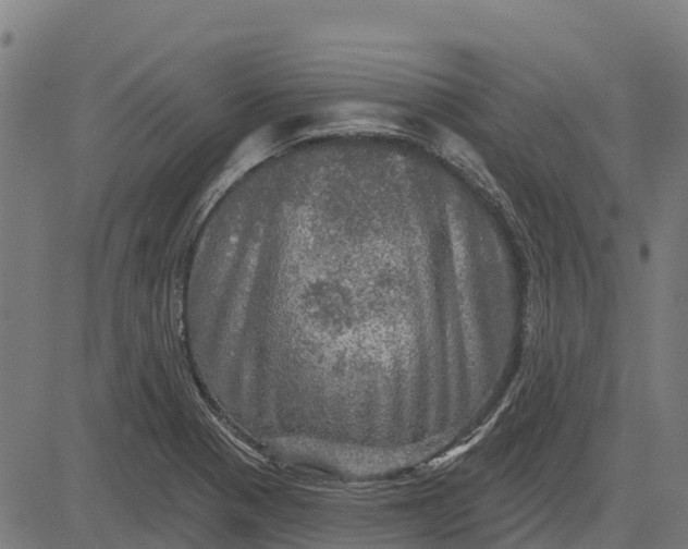 X0000084561321200703091735