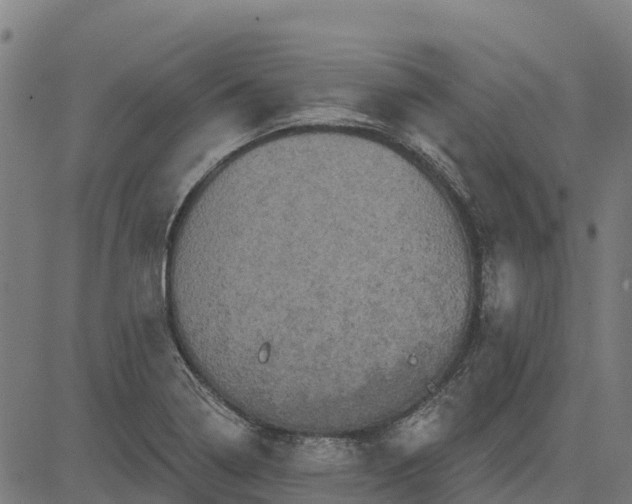 X0000084561322200703091735